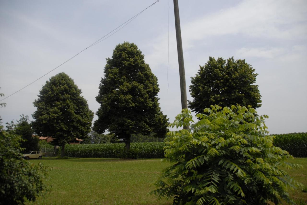 Bed and Breakfast Spighe Paglia E Girasole Candia Canavese Zewnętrze zdjęcie