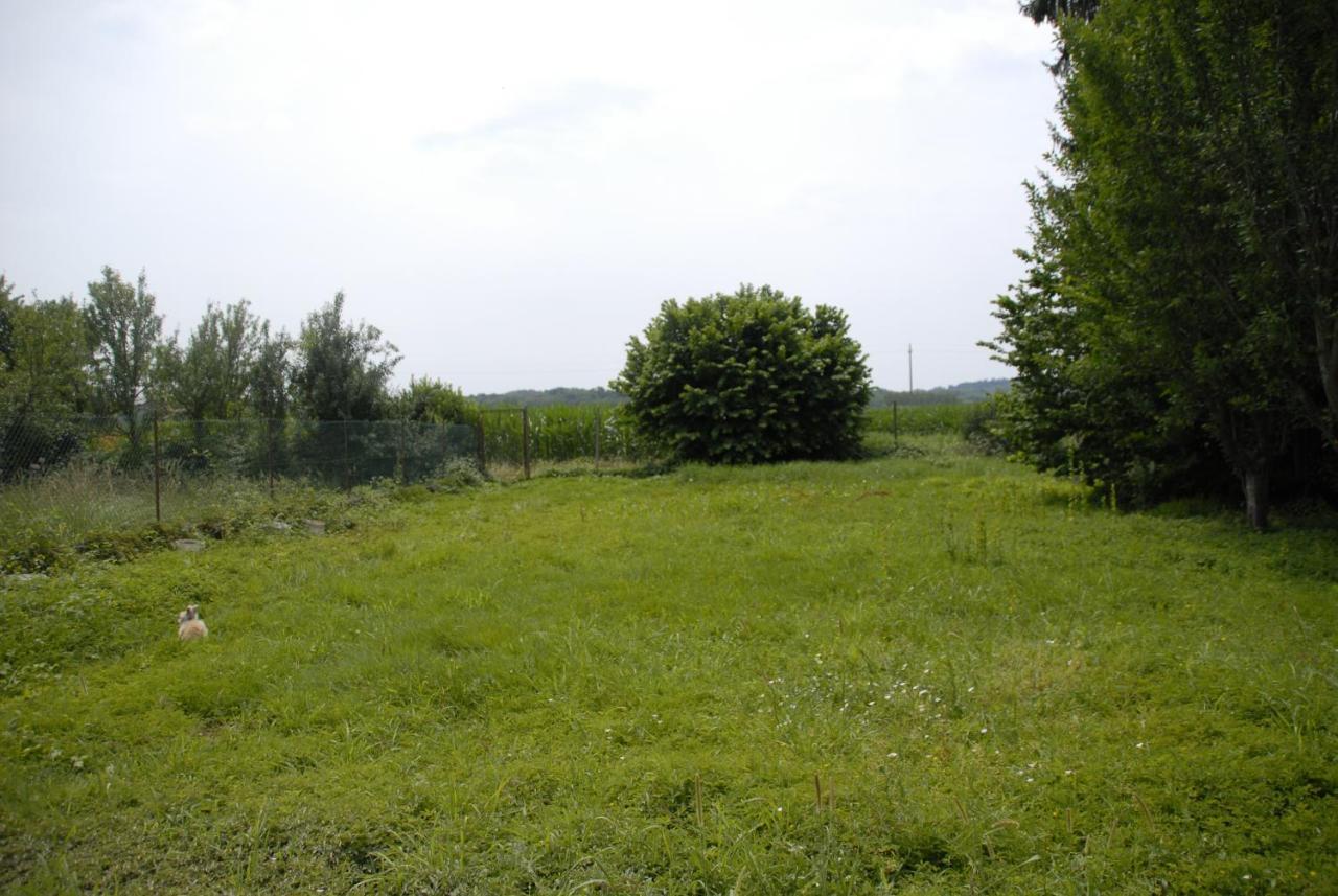 Bed and Breakfast Spighe Paglia E Girasole Candia Canavese Zewnętrze zdjęcie